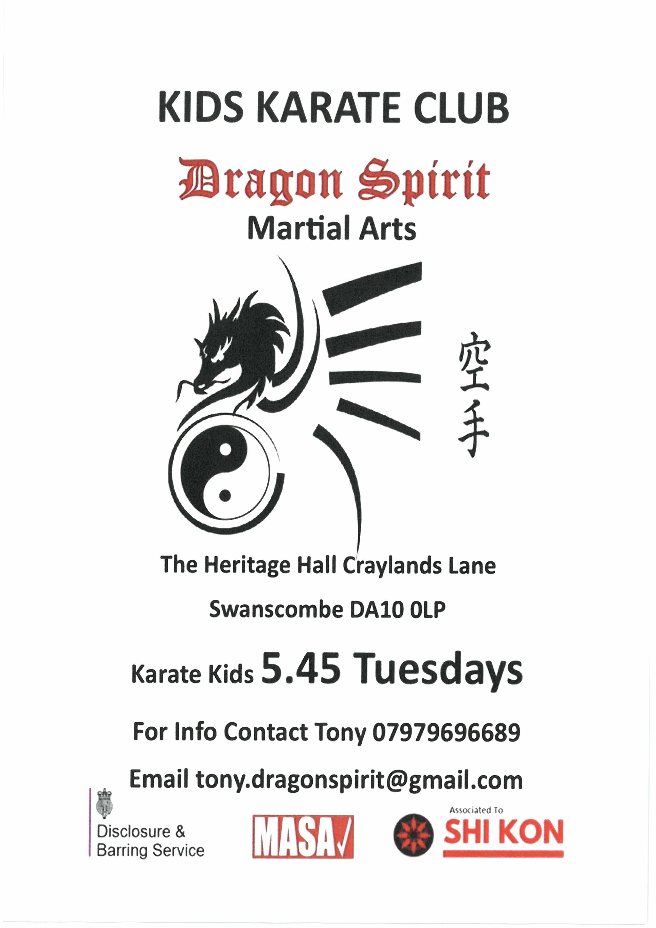 dragon spirit martial arts poster